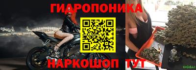 стаф Малгобек
