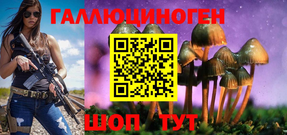 Галлюциногенные грибы Psilocybe Волжск