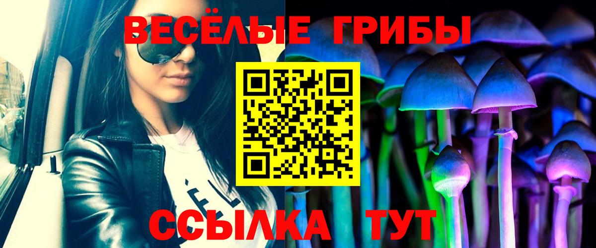 Волжск  Псилоцибиновые грибы Cubensis  Вход с VPN 